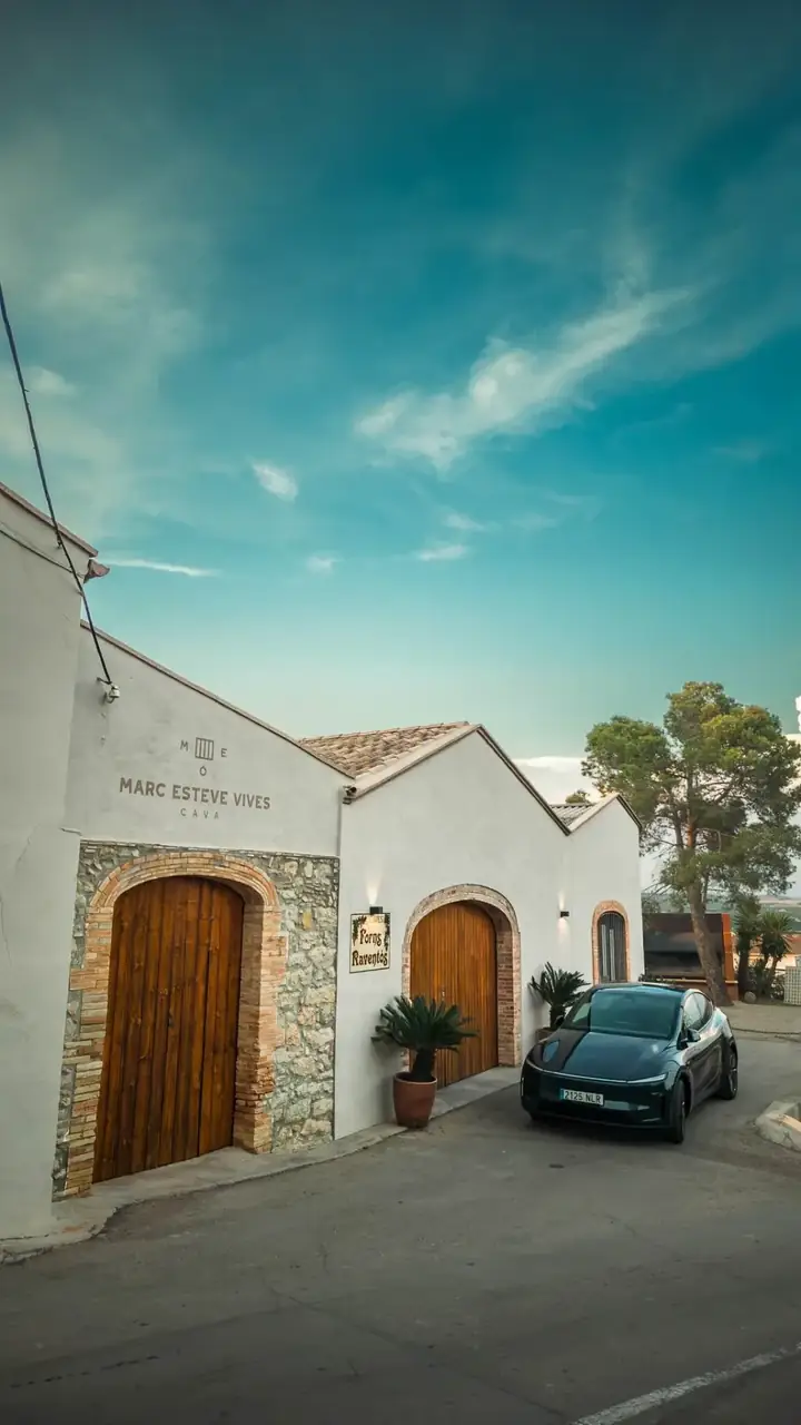 Private wine tour Barcelona — Tesla at a winery near Barcelona